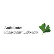Logo für den Job Pflegefachkraft für unsere SAPV (m/w/d)